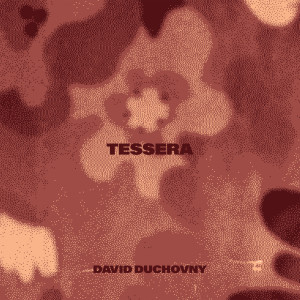 收聽David Duchovny的Tessera歌詞歌曲