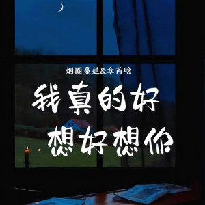 Album 我真的好想好想你 from 烟圈蔓延