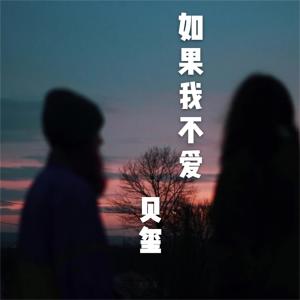 收聽貝璽的孤雁歌詞歌曲