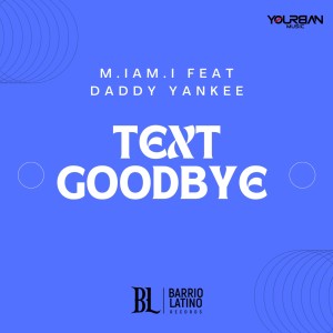 อัลบัม Goodbye (No Te Quise Perder) ศิลปิน M.iam.i