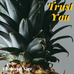 ดาวน์โหลดและฟังเพลง Trust You พร้อมเนื้อเพลงจาก Chemutai Sage