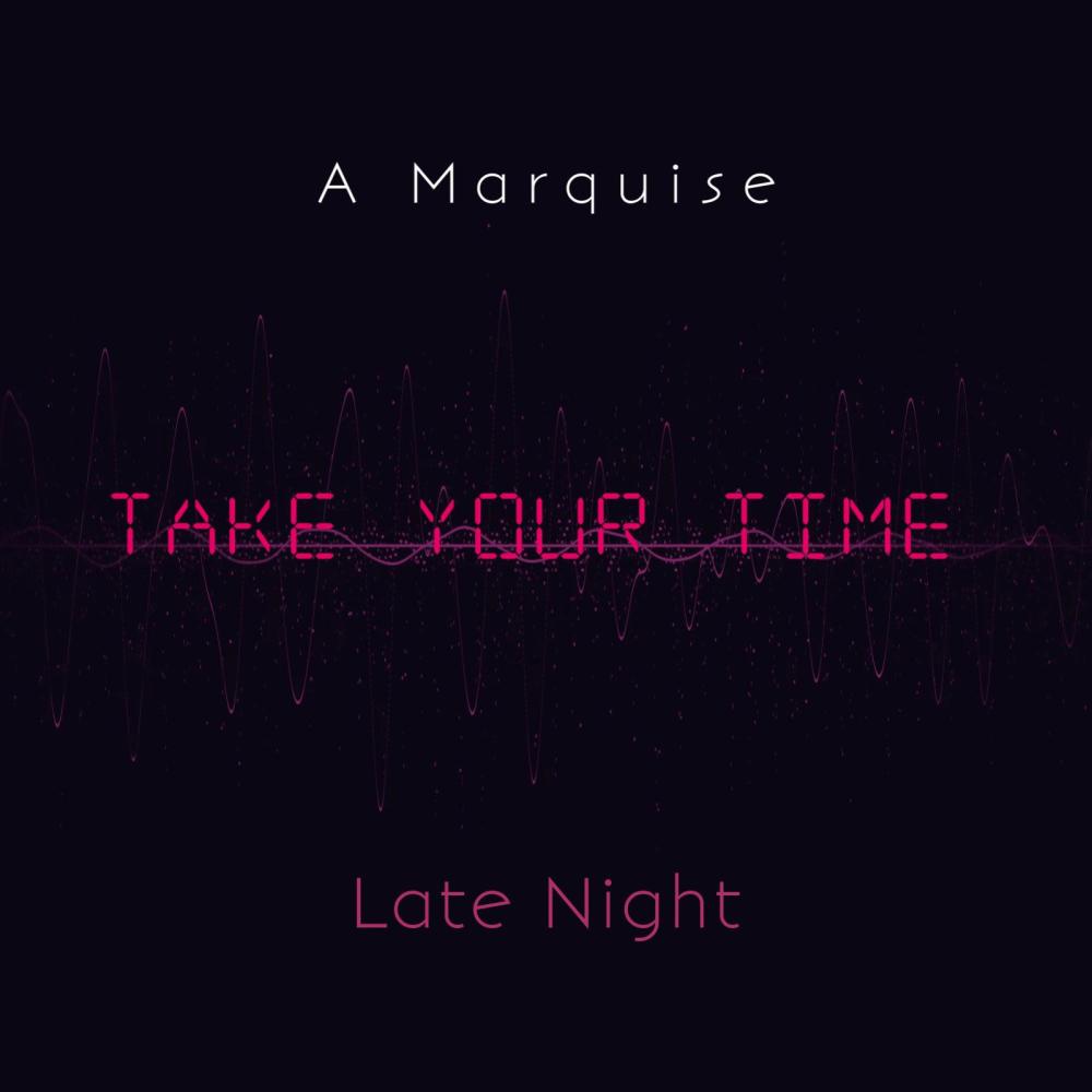 Take Your Time (feat. Late Night) (V.I.P Mix)