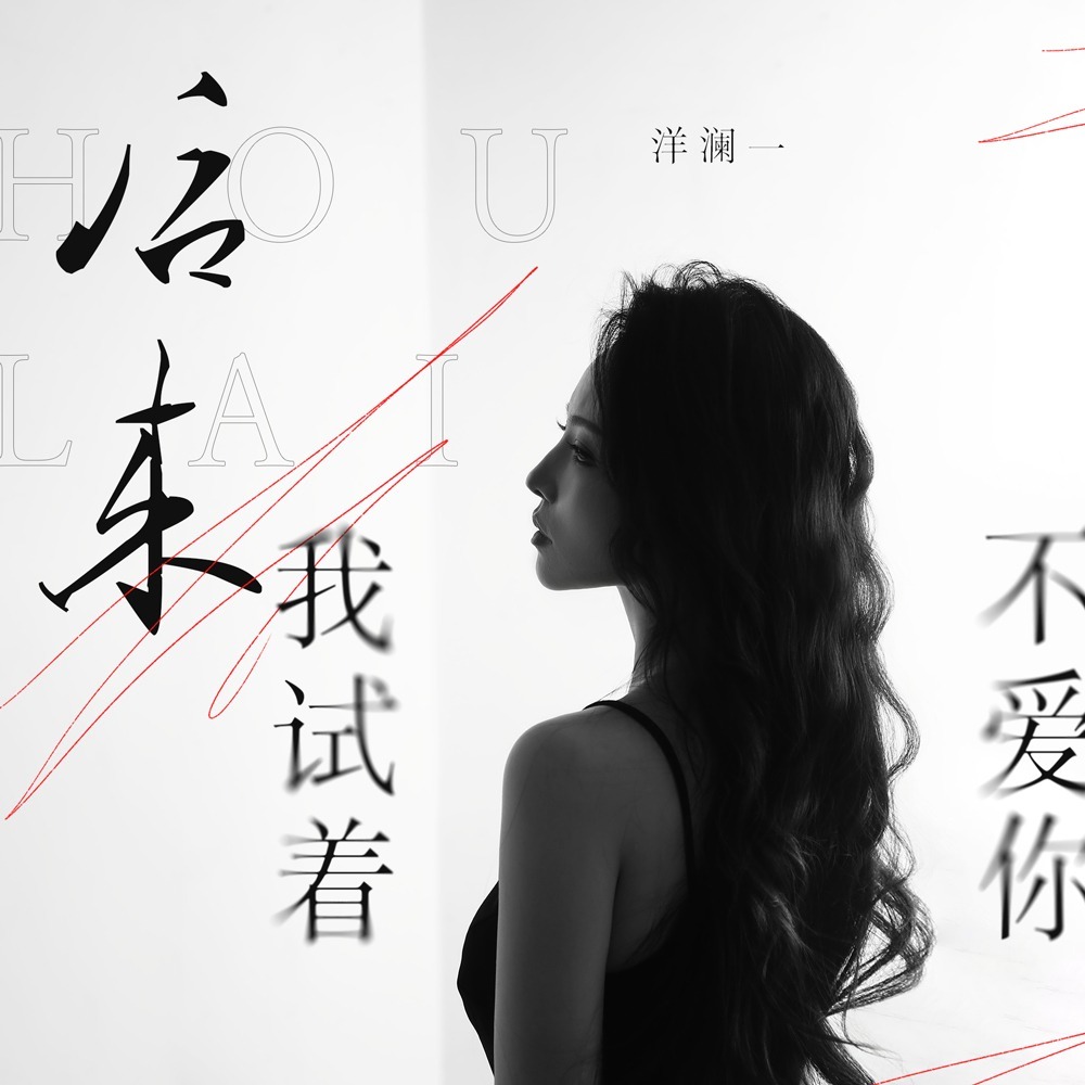 后来我试着不爱你 (DJ九零版)