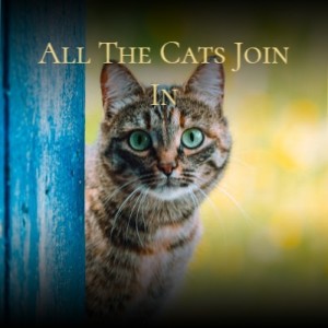 Listen to The Way We Were song with lyrics from The Royal Philharmonic Orchestra