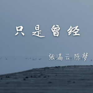 ดาวน์โหลดและฟังเพลง 只是曾经 พร้อมเนื้อเพลงจาก 张满云