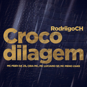 ดาวน์โหลดและฟังเพลง Crocodilagem พร้อมเนื้อเพลงจาก RodriigoCH
