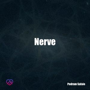 Album Nerve from Pedram Safaie