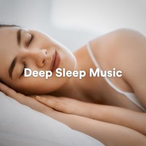 Deep Sleep Music的专辑Deep Sleep Music