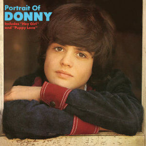 ดาวน์โหลดและฟังเพลง Hey There, Lonely Girl พร้อมเนื้อเพลงจาก Donny Osmond