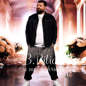 Listen to Tu Nu Esti Fericita song with lyrics from B.Piticu