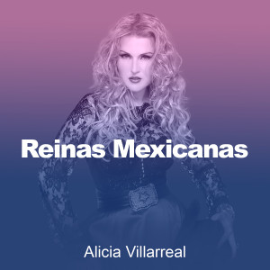 收聽Alicia Villarreal的Que No Se Entere歌詞歌曲