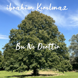 Album Bu Ne Derttir from İbrahim Kırılmaz