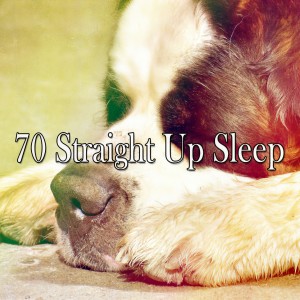 ดาวน์โหลดและฟังเพลง Insomniacs Remedy พร้อมเนื้อเพลงจาก White Noise