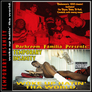 Darkroom Familia Presents: Temporary Insanity的專輯Woke Up Hatin' Tha World (Explicit)