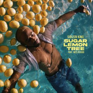 Sidizen King的專輯Sugar Lemon Tree