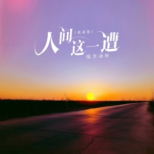 Listen to 人间这一遭（沧桑版） (完整版) song with lyrics from 悦享动听