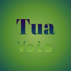 Album Tua Vois from Various