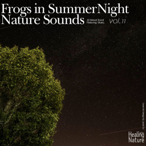 ดาวน์โหลดและฟังเพลง Night Sound from Forest 1 พร้อมเนื้อเพลงจาก 힐링 네이쳐 Nature Sound Band