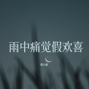 Album 雨中痛觉假欢喜 from 萌小新
