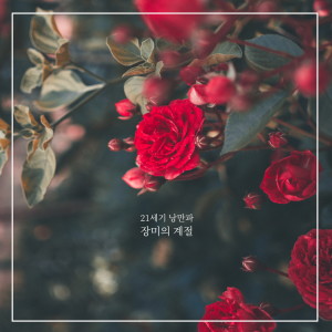 收听21세기 낭만파的장미의 계절歌词歌曲