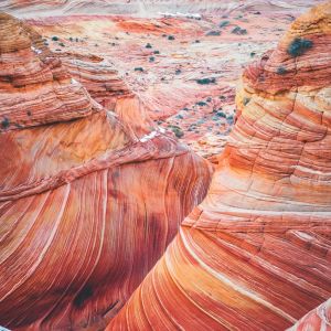 Album Background Sounds of Nature | Meditation Focus oleh Study Music