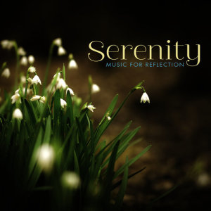 ดาวน์โหลดและฟังเพลง Natural Serenity พร้อมเนื้อเพลงจาก Michael Maxwell