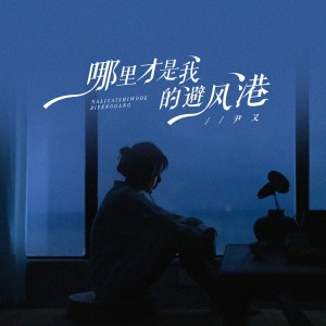 Album 哪里才是我的避风港 from 尹又