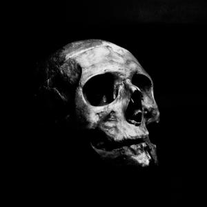 ดาวน์โหลดและฟังเพลง Fed Up (feat. Exodus, Keyps, Trife Bomber & Sick One) (Explicit) พร้อมเนื้อเพลงจาก A Dying Breed