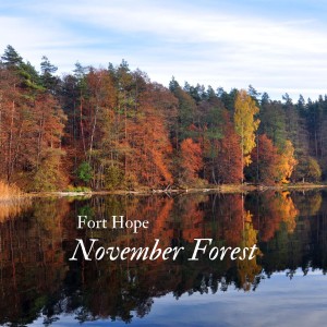 อัลบัม November Forest ศิลปิน Fort Hope