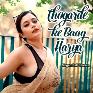 Listen to Chogarde ke baag harya song with lyrics from Bali Sharma