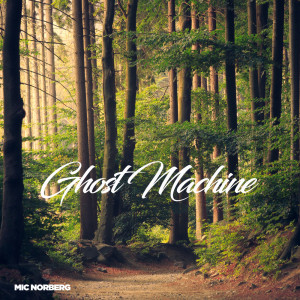 Listen to Ghost Machine song with lyrics from Mic Norberg