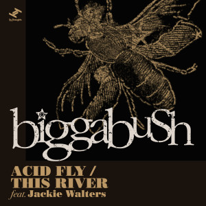 อัลบัม Acid Fly / This River ศิลปิน Biggabush