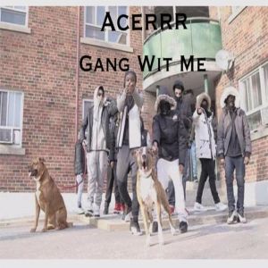 收聽Acerr的Gang With Me (Explicit)歌詞歌曲