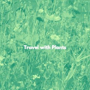 Album Travel with Plants from Jazz Chill Out Relax