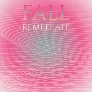 Various的专辑Fall Remediate