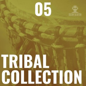 Album Tribal Collection Vol.5 from Various Artists