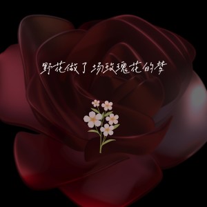Listen to 野花做了场玫瑰花的梦（烟嗓版） (完整版) song with lyrics from WinSir