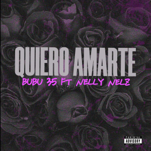 Album Quiero Amarte (Explicit) from Bubu 35