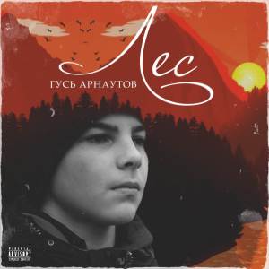 Гусь Арнаутов的专辑Лес