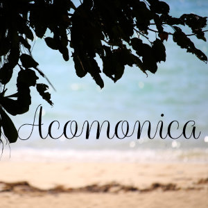 Listen to 可愛くてごめん (feat. Honey Works & かぴ) [Cover] song with lyrics from Acomonica