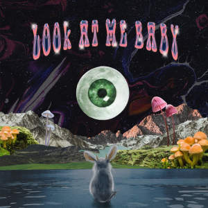 Album Look at Me Baby from Anatomy Rabbit