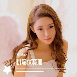 收聽胡文博BOY的老八祕製小漢堡(DJ版)歌詞歌曲