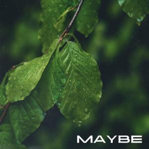 收聽Andre Schnura的Maybe歌詞歌曲