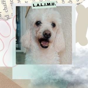 ดาวน์โหลดและฟังเพลง L.A.L.I.M.U. (feat. Valen Eslava) พร้อมเนื้อเพลงจาก Xivra