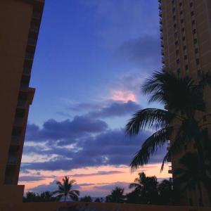 收聽Glaucoma的FREAKY (Explicit)歌詞歌曲