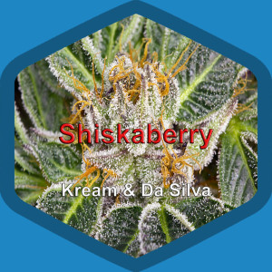 Listen to Shiskaberry (Explicit) song with lyrics from Matasvandals