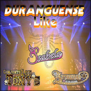 Album Duranguense Like from Various