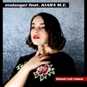 Listen to Blood Red Roses (Groove Mix) song with lyrics from Endanger