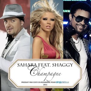 Champagne (feat. Shaggy) [Jump Smokers Radio Mix]