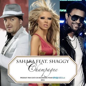 收聽Sahara的Champagne (feat. Shaggy) [Jump Smokers Radio Mix] (Jump Smokers Radio Mix)歌詞歌曲